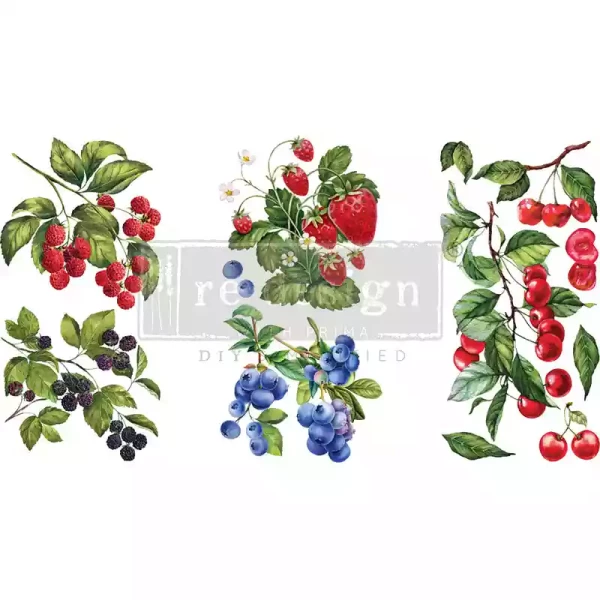 Transfer Sweet Berries 3-teilig - 15,24 x 30,48 cm von ReDesign