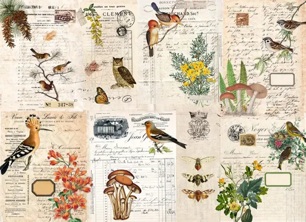 Decoupage Tissuepapier Fall Botanical Project 50,8 x 76,2 cm von Roycycled Treasure