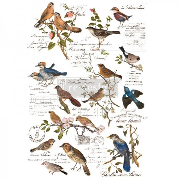 Transfer "Postal Birds" 60,96 x 88,9 cm von Redesign