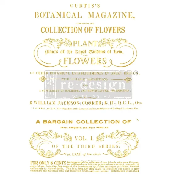Transfer Flower Collector 2-teilig - 60,96 x 88,90 cm von ReDesign