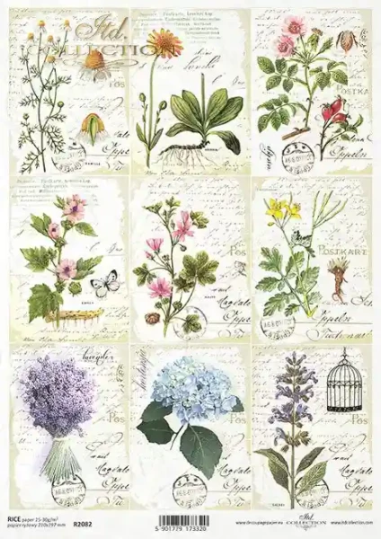 Reispapier A4 für Serviettentechnik und Decoupage - Herbarium