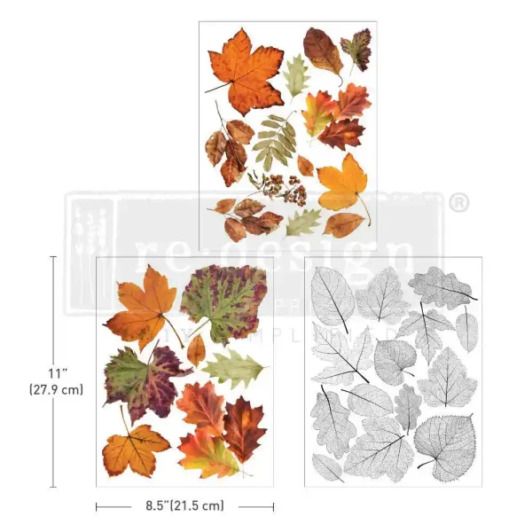Transfer Crunchy Leaves Forever - 3-teilig - 21,59 x 27,94 cm von ReDesign