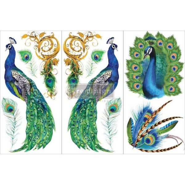 Transfers Peacock Paradise, 3-tlg. á 15,24 x 30,43 cm von ReDesign