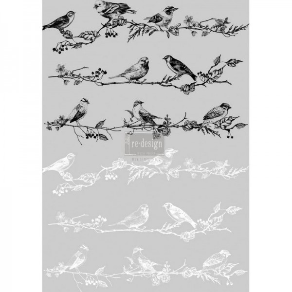 Transfer "Birds & Berries" 60,96 x 86,36 cm von Redesign